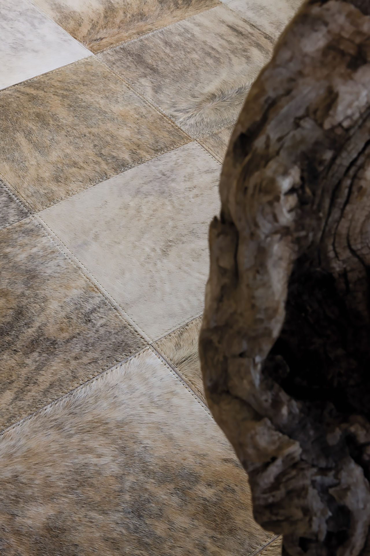 Close Up_Pinto_Sable_2.jpg